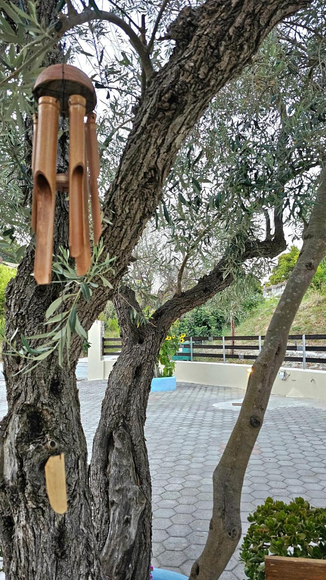 Pension Oasis Βότση Εξωτερικό φωτογραφία