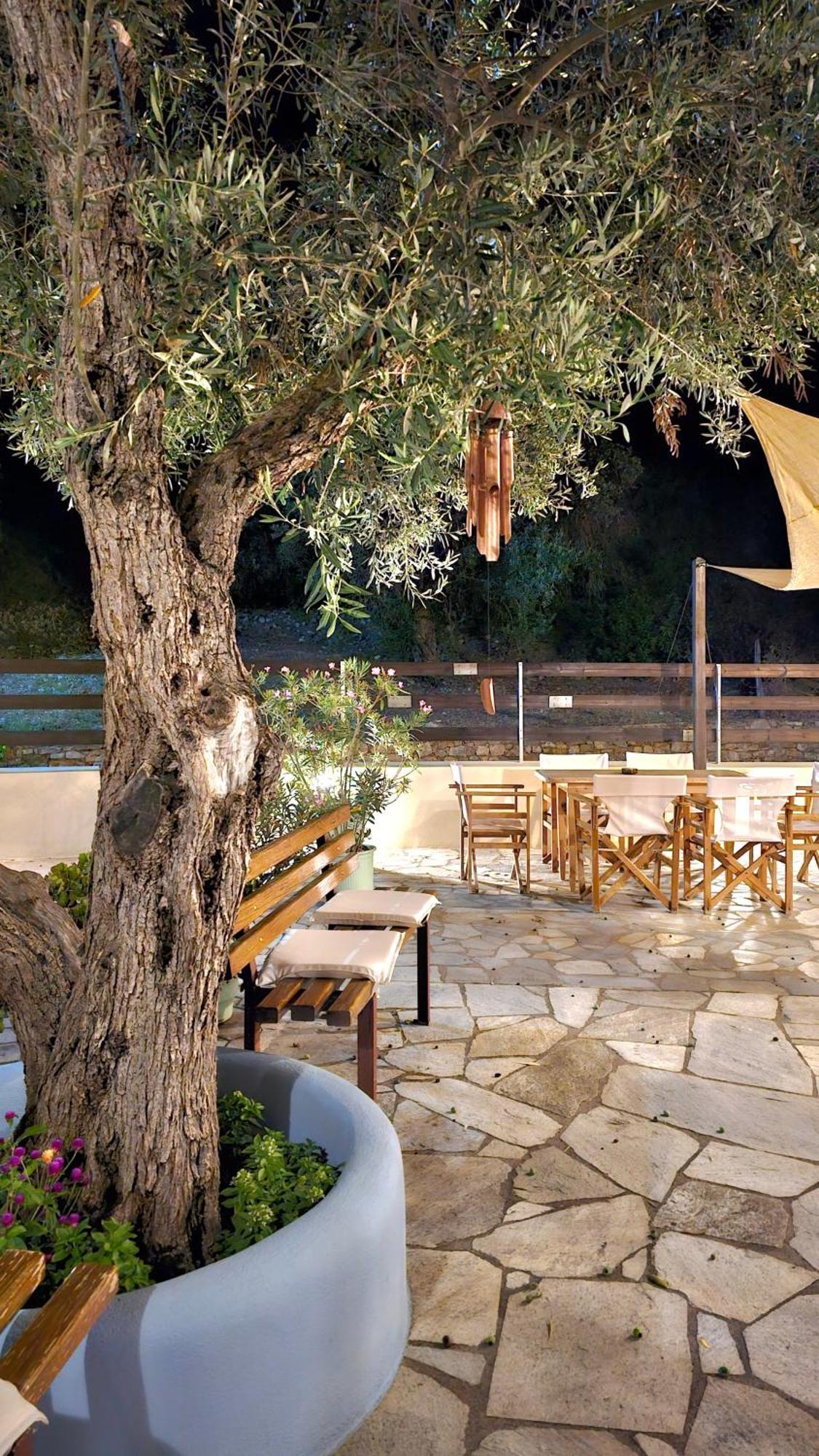 Pension Oasis Βότση Εξωτερικό φωτογραφία